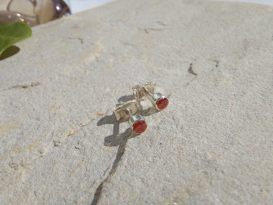 Small Sparkly Stud Earrings